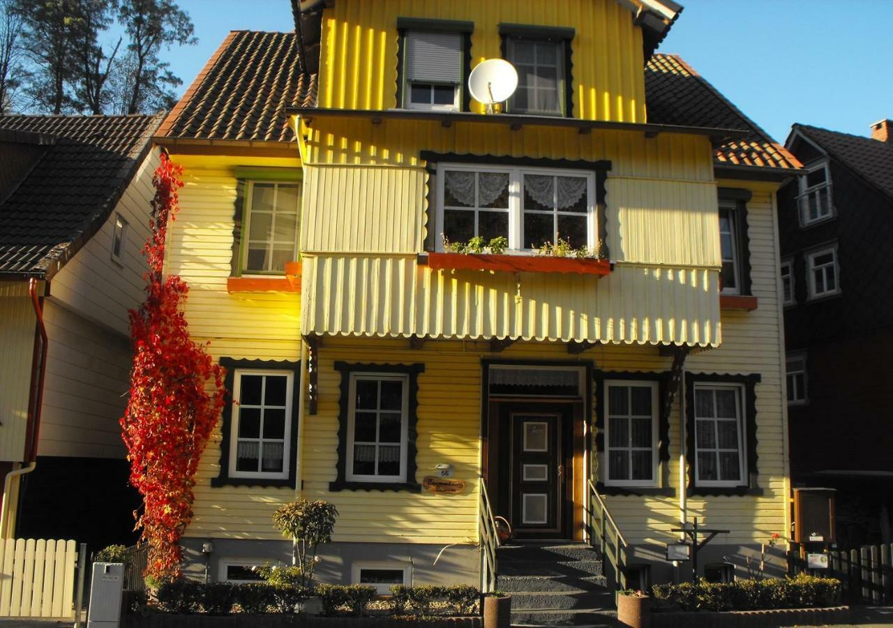 Brummers Ferienwohnung Wildemann Exteriér fotografie